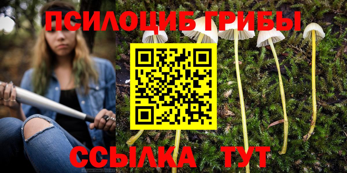 Шарыпово  Псилоцибиновые грибы Magic Shrooms  Вход с VPN  Галлюциногенные грибы Magic Shrooms 